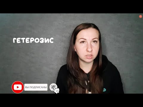 Видео: Биология. Явление гетерозиса и его генетические основы. Аутбридинг и инбридинг.