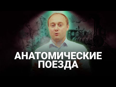 Видео: В теле всего ОДНА МЫШЦА? Что такое МЫШЕЧНЫЕ ЦЕПИ? #инструкцияктелу