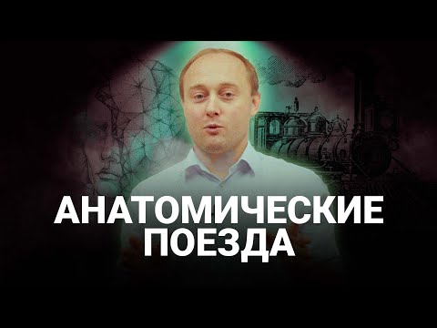 Видео: В теле всего ОДНА МЫШЦА? Что такое МЫШЕЧНЫЕ ЦЕПИ? #инструкцияктелу