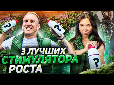 Видео: 💥Самые ЭФФЕКТИВНЫЕ стимуляторы роста! ТОП-3