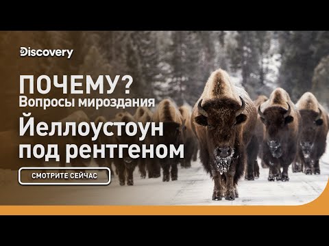 Видео: Йеллоустоун под рентгеном | Почему? Вопросы мироздания | Discovery