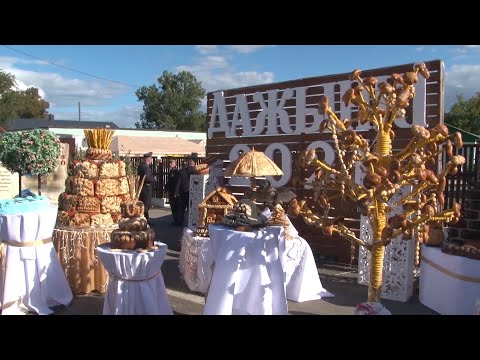 Видео: Дожинки-2021. Как Логишин встречал гостей областного фестиваля-ярмарки