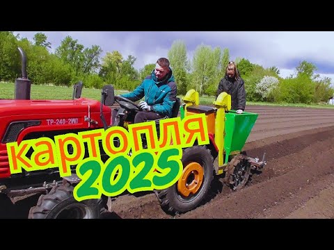 Видео: Швидко посадили картоплю і пішов сніг  2025 #шифенг240