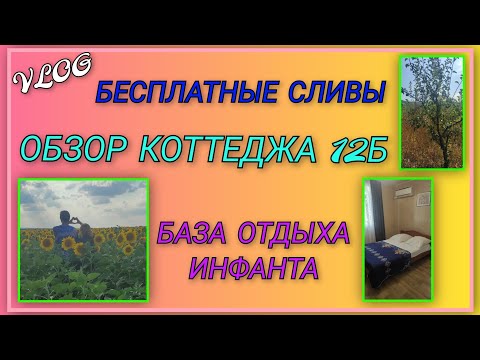 Видео: 🌞Очень вкусные бесплатные сливы по дороге к морю/ Доехали и заселились/ Обзор коттеджа 12Б в Инфанте