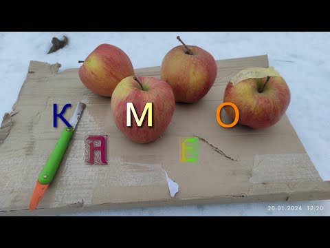 Видео: Сорт яблук "Камео".(Голден Делішес*Ред Делішес)