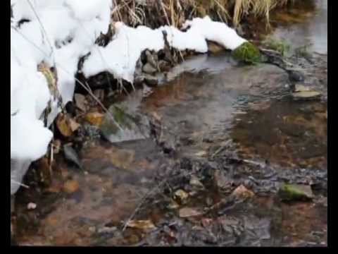 Видео: Этно-трио ТРОИЦА-Раёк.avi