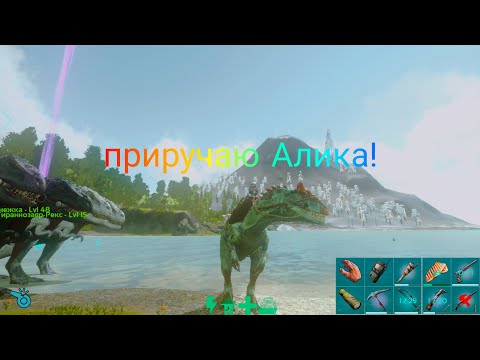 Видео: приручаю аллозавра ! { ark mobile }