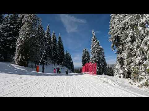 Видео: Пампорово: Дългият път към Стойките (ски писта №12) / 22.02.2025 / 4K