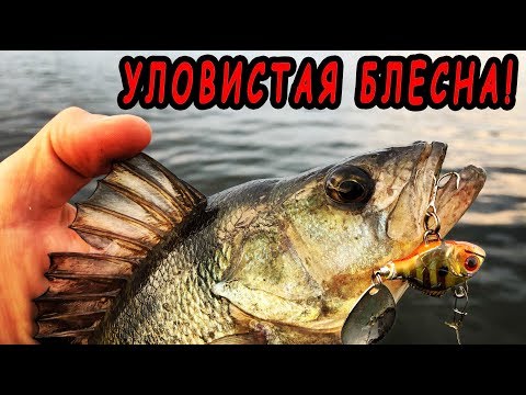 Видео: Эта блесна ловит всегда! Spro ASP истребитель окуня! Секретная проводка!