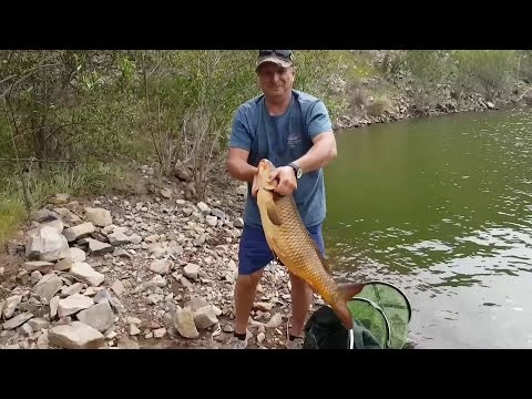 Видео: ХЕРАБУНА-САЗАН-7,3Кг -Всё только начинается!