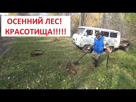 Видео: ОСЕННИЙ МЕТАЛЛА КОП,НЕ ДАЛЕКО ОТ ДОМА! ХОРОШИЙ РЕЗУЛЬТАТ ЗА КОРОТКОЕ ВРЕМЯ! ОСЕНЬ, ЛЕС, КРАСОТИЩА!!!