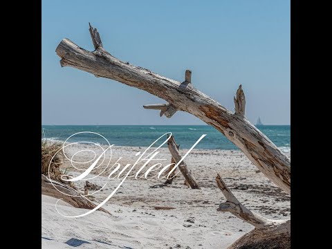 Видео: Дрифт | Венди Энн Хант