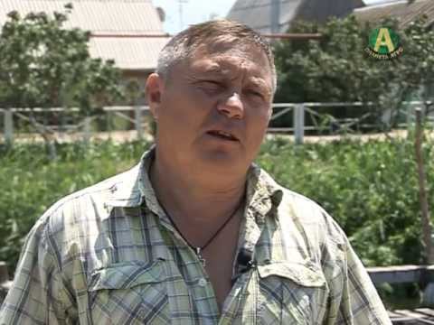 Видео: #ПланетаАгро  - Осётр в домашних условиях