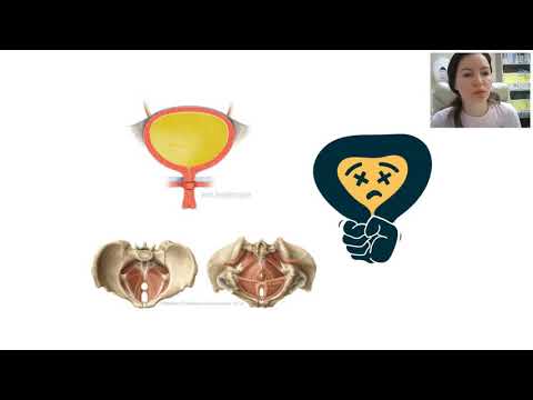 Видео: Час с урологом-4