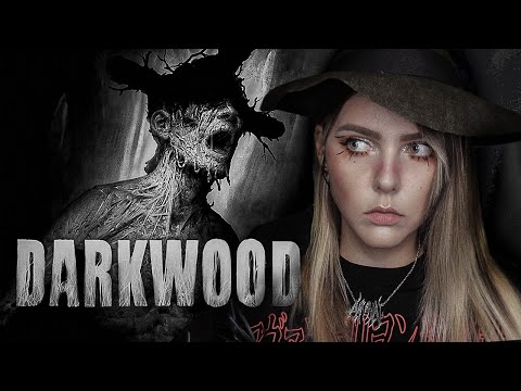 Видео: Darkwood - День 16 - Туннель