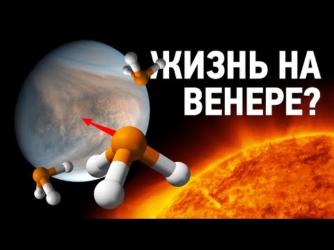 Видео: Учёные нашли жизнь на Венере?