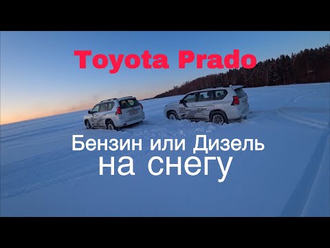 Видео: Toyota Prado Бензин VS Toyota Prado Дизель на снегу