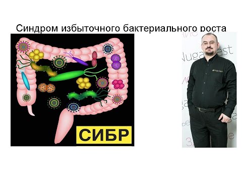 Видео: СИБР - синдром избыточного бактериального роста