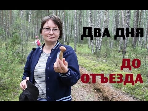 Видео: ДВА ДНЯ до отъезда из деревни.