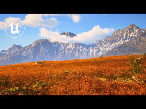 Видео: Создание оптимизированного PCG GRASS в Unreal Engine 5 (граф для повторного использования)