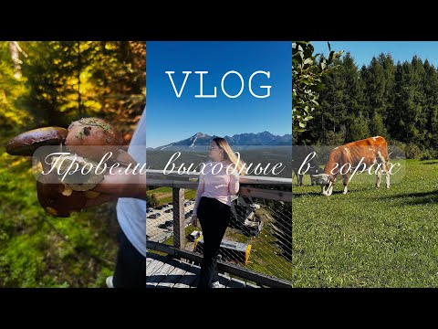 Видео: VLOG : ПРОВЕЛИ ВЫХОДНЫЕ В ТАТРАХ, СЕНТЯБРЬ 2025г