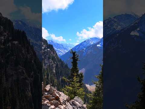 Видео: Природа Кыргызстана. #nature #kyrgyzstan #travel #mountains #drone