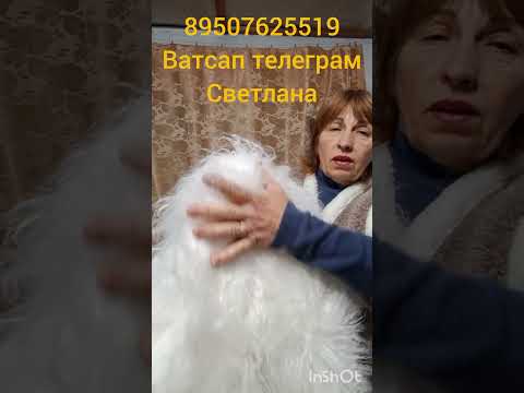 Видео: 3 октября 2025 г.
