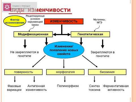 Видео: Лекция№5Генетика бактерий new