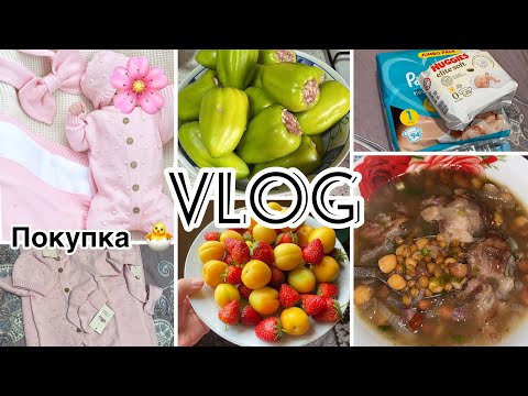 Видео: ИКА ХТА ТАРИФ НАКУН🤔ХУРОКИ ТОЧИКИ🤗БАРОИ ВЫПИСКА🐣ЧИ ГИРИФТЕМ ​⁠