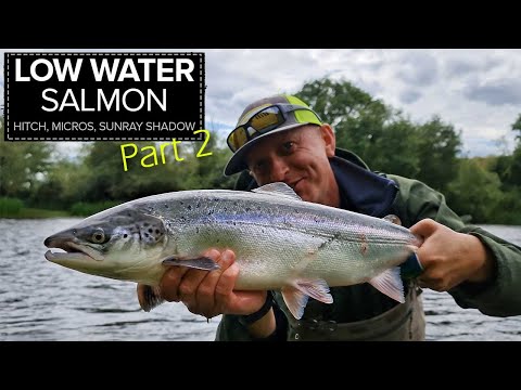 Видео: Ловля лосося нахлыстом и другие способы ловли на мелководье. ЧАСТЬ 2. Ловля лосося нахлыстом в Ир...