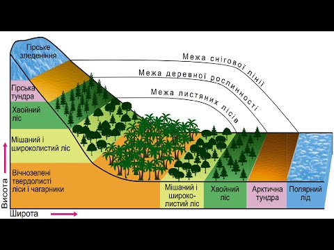 Видео: Географія. 7 кл. Урок 14 - Широтна зон-ть на материках і в океанах. Вертикальна поясність у горах