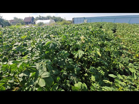 Видео: Сарпо Мира 2025. 75 дней с момента посадки. 1 часть.