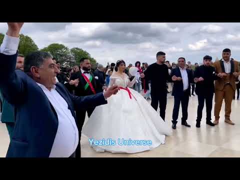 Видео: Езидская Свадьба Во Франции 💒 // Dawata Ezdia In France 🇫🇷