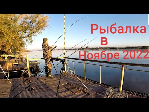 Видео: Отличная рыбалка в Ноябре,,, на Русалке,,, карп радует #Рыбалка #днестр # карпфишенг 2022
