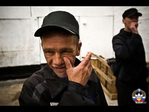 Видео: Кто самые большие падлы в тюрьме
