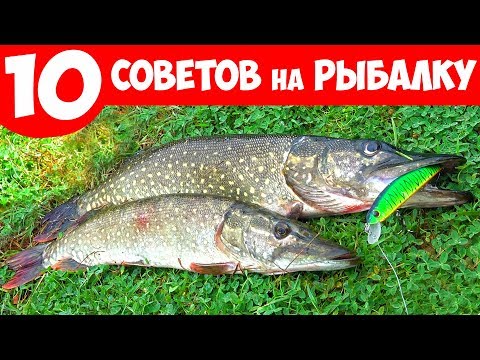 Видео: 10 ВАЖНЫХ СОВЕТОВ для РЫБАЛКИ ОСЕНЬЮ по ХОЛОДНОЙ ВОДЕ