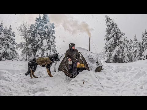 Видео: Попали под сильный снегопад — зимний кемпинг в глубоком снегу, горячая палатка, дровяная печь