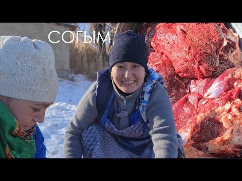 Видео: СОГЫМ - ОСОБАЯ КАЗАХСКАЯ ТРАДИЦИЯ ЗАГОТОВКИ МЯСА