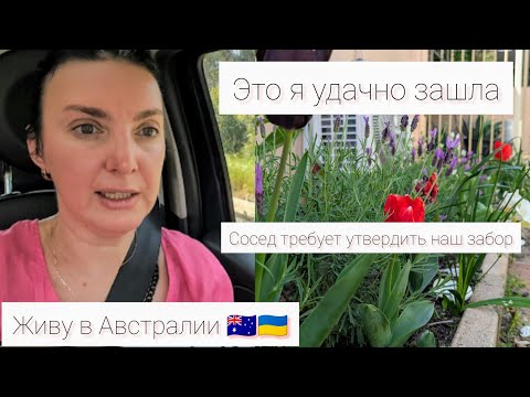 Видео: Живу в Австралии 🇺🇦🇦🇺. Удачная закупка . И снова соседям неймётся из за нашего забора. #австралия 