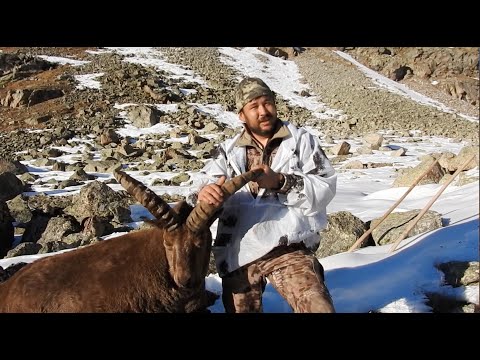 Видео: Охота на Кубанского тура в горах Кавказа, 2018. Kuban tur hunting in the Caucasus, 2018.