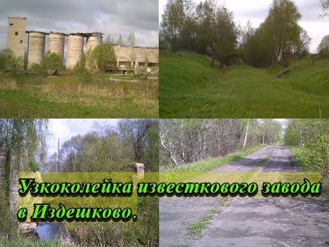 Видео: Узкоколейка известкового завода  в Издешково