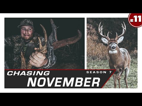 Видео: Эпизод 11: Приманка для монстра из Миссури, безумие гона | В погоне за ноябрьским сезоном 7