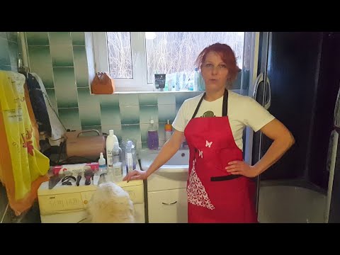 Видео: Как правильно помыть большую собаку?