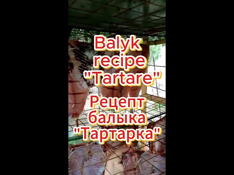 Видео: 🔥 Recipe - "Tartare" / Рецепт балыка - "Тартарка" #fish #балык #fishing