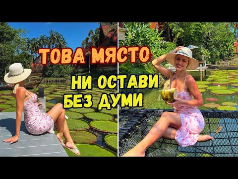 Видео: Тайландците ни изумиха 🙈, Среща с Виктория Капитонова❤️‍🔥 | Еп.4