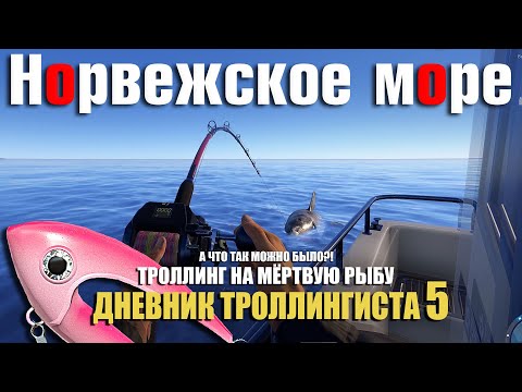 Видео: Дневник троллингиста 5 • Троллинг на мёртвую рыбу • Русская Рыбалка 4 • Норвежское Море