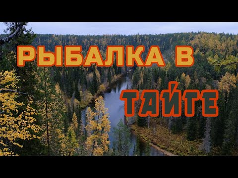 Видео: Восьмой сезон Добрых Походов. Ловим хариуса в глухой тайге, готовим уху