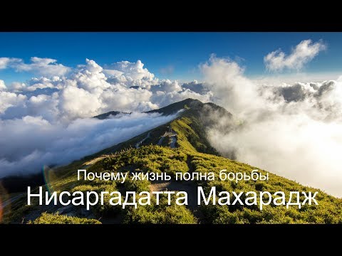 Видео: Почему жизнь полна борьбы. Нисаргадатта Махарадж — Ничто есть Всё