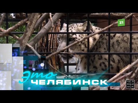 Видео: Это Челябинск: городской зоопарк. Часть 2