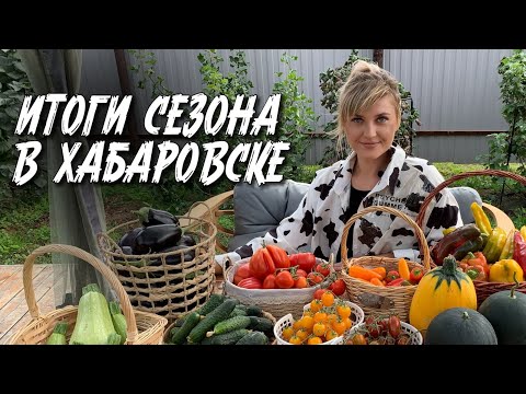 Видео: ИТОГИ ОГОРОДНОГО СЕЗОНА В ХАБАРОВСКЕ | Сложности в огороде в 2024 году